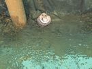 Core drilling, wall chasing  service Image 8