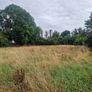 Meadow for Cutting Image 2