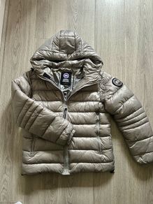 canada goose