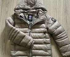 canada goose