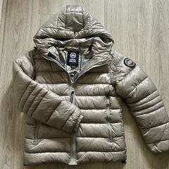 canada goose