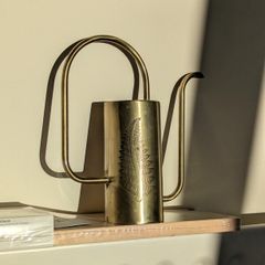 Water can