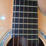 Dowina Master Series Cocobolo GAC Image 7