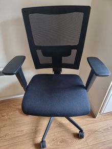 Executive Ergonomic Chair