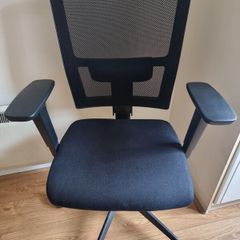 Executive Ergonomic Chair