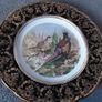 Arklow pottery bird plates Image 4