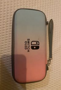 nintendo switch case