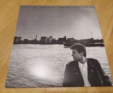 Bryan Adams - Into The Fire - Vinyl Record + hundreds more