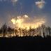 stacey.