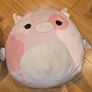 Sqyishmallow teddy x 2 Image 2