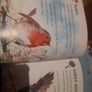 My first Book of Garden Birds Image 3