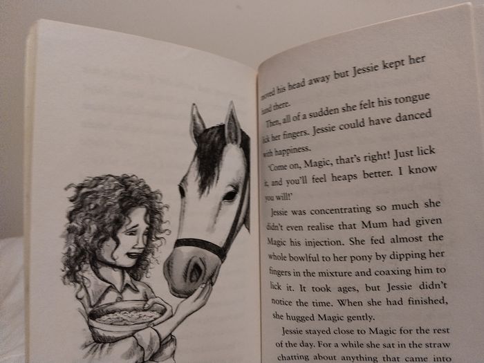 A Pony Called Magic Children,s Story Book