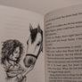 A Pony Called Magic Children,s Story Book Image 9