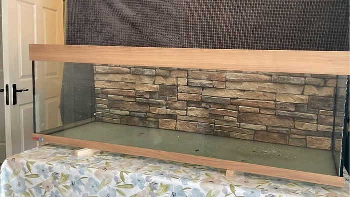 Large 5ft Eheim fish tank