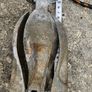 Boat Anchor Image 3