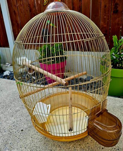 Large brass bird cage.