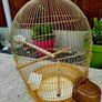 Large brass bird cage. Image 2