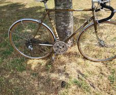 Raleigh carlton corsair