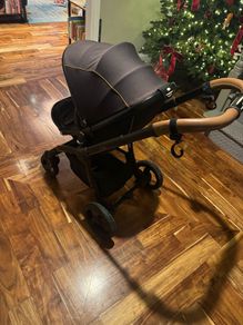Egg Buggy 1