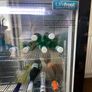 Unifrost Double Door Back Bar Cooler Drinks Fridge Pristine Condition Image 3