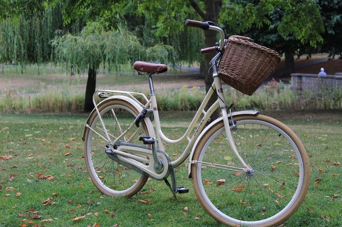Popal Ladies Dutch Bike 28 Inch 3 Speed Basil Wicker Basket