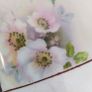 Antique large Grimwade Basin/Bowl Image 7