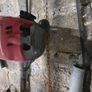 Lawnmower Image 3