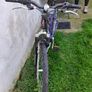 bike Image 3
