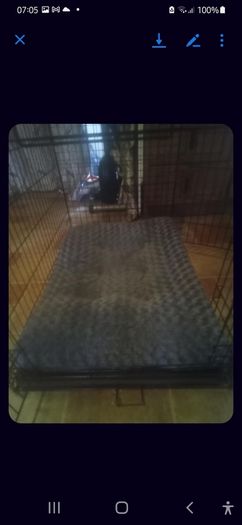 Large Dog Cage With Bed.