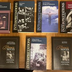 Harold Bloom Modern Critical Interpretations Book Collection