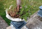 Concrete Flowerpots