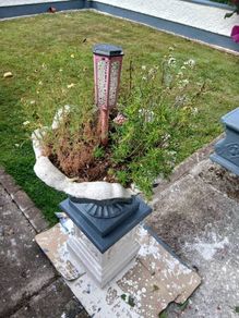 Concrete Flowerpots
