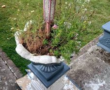 Concrete Flowerpots