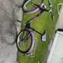 Girls bike Image 4