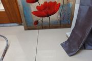Painting - Poppy's.   S-  60cm x 60cm. .  New.