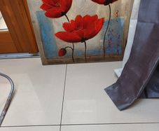 Painting - Poppy's.   S-  60cm x 60cm. .  New.