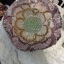Decorative glass bowl Image 2
