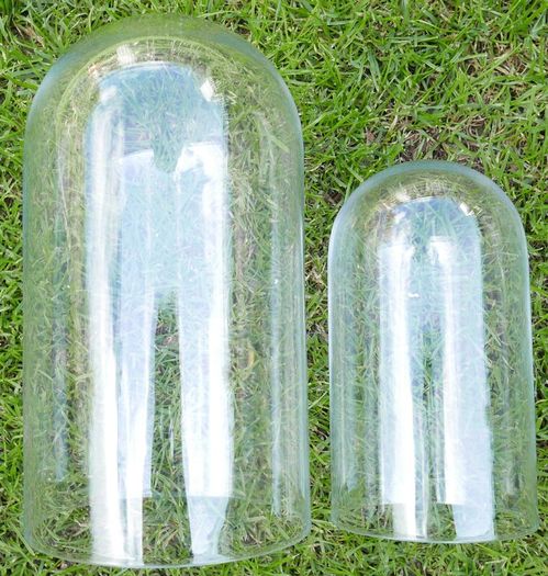 Vintage Handmade Clear Circular Glass Display Cloche Bell Dome With Black Base (dimensions visible in the photos) 50 each