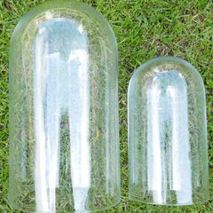 Vintage Handmade Clear Circular Glass Display Cloche Bell Dome With Black Base (dimensions visible in the photos) 50 each