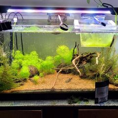 fish tank