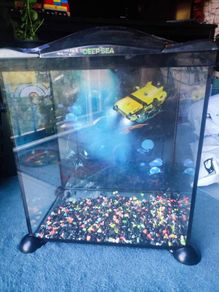 Aquarium Fish tank