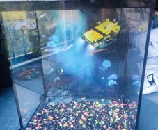Aquarium Fish tank