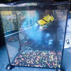 Aquarium Fish tank