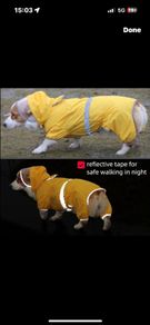 Dog Raincoat Waterproof Jacket with Hood & Collar Hole Transparent Brim,Ultra-Light Breathable Reflective Jumpsuit for Short-legged Dogs Corgi Dachshund xs,s,m,L,XL