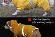 Dog Raincoat Waterproof Jacket with Hood &amp; Collar Hole Transparent Brim,Ultra-Light Breathable Reflective Jumpsuit for Short-legged Dogs Corgi Dachshund xs,s,m,L,XL