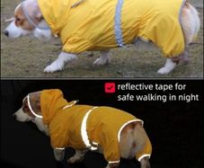 Dog Raincoat Waterproof Jacket with Hood & Collar Hole Transparent Brim,Ultra-Light Breathable Reflective Jumpsuit for Short-legged Dogs Corgi Dachshund xs,s,m,L,XL