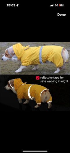 Dog Raincoat Waterproof Jacket with Hood & Collar Hole Transparent Brim,Ultra-Light Breathable Reflective Jumpsuit for Short-legged Dogs Corgi Dachshund xs,s,m,L,XL