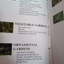 Making the Most of Small Gardens/ Green Oases in Small Spaces Image 4