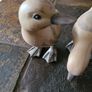 Ducks Image 2