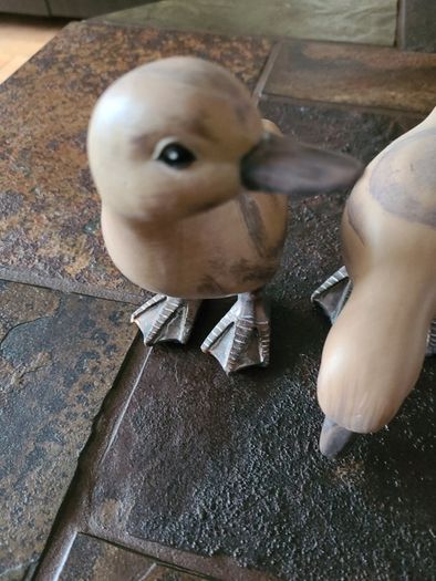 Ducks